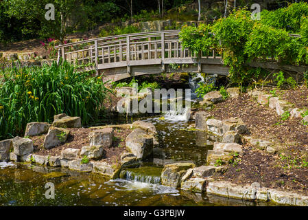 Una vista del bel giardino Giapponese isola situata nella Regina Marie Giardini a Regents Park, Londra. Foto Stock