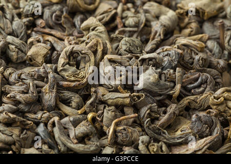 La polvere da sparo green tea pellets full frame close up Foto Stock