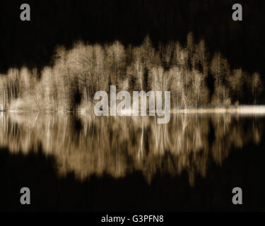 Arte della foto: l'isola (Lago Schliersee, Baviera, Germania) Foto Stock