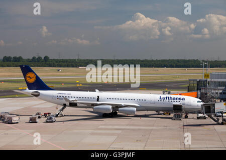 Lufthansa aereo al gate, Airbus A340-300, Duesseldorf Airport, regione della Renania, Renania settentrionale-Vestfalia Foto Stock