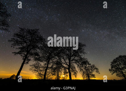 Cielo notturno su oldenburger land, Bassa Sassonia, Germania Foto Stock