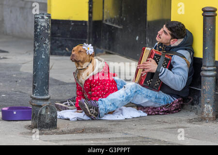 Europa orientale intrattenitore Street a Londra a suonare la sua fisarmonica seduto con il suo cane , che indossa un cappotto rosso e un fiore sulla sua testa Foto Stock