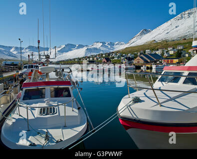 Sigulfjordur, un piccolo villaggio nel nord dell'Islanda Foto Stock