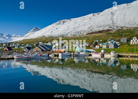 Sigulfjordur, un piccolo villaggio nel nord dell'Islanda Foto Stock