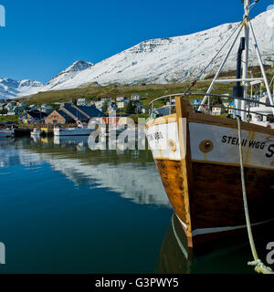 Sigulfjordur, un piccolo villaggio nel nord dell'Islanda Foto Stock