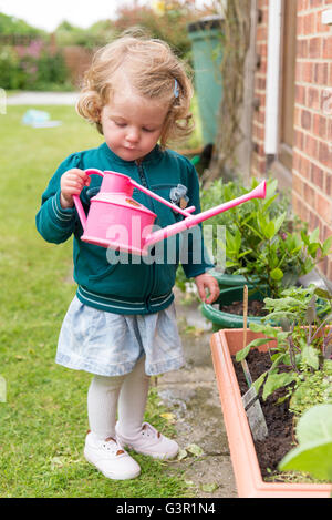 Due anni con toddler annaffiatoio in giardino, England, Regno Unito Foto Stock