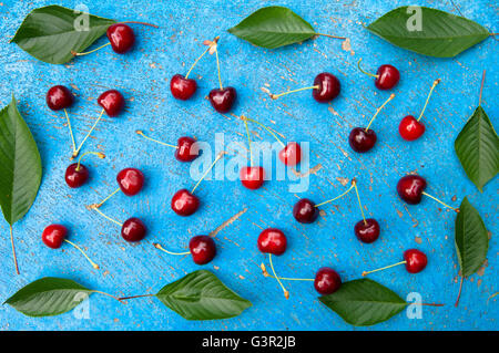 Ciliegia, ciliegie con foglie di ciliegio a trama su fondo azzurro, vista dall'alto Foto Stock