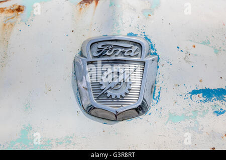 Un diciannove anni Cinquanta Ford F100 Pick Up Truck Emblema Emblema sul cofano del veicolo Foto Stock