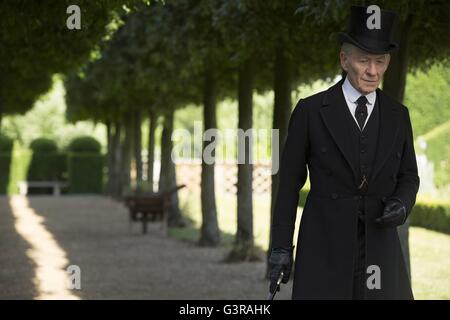 Il sig. Holmes Anno : 2015 REGNO UNITO / STATI UNITI / Giappone Direttore : Bill Condon Ian McKellen Foto Stock