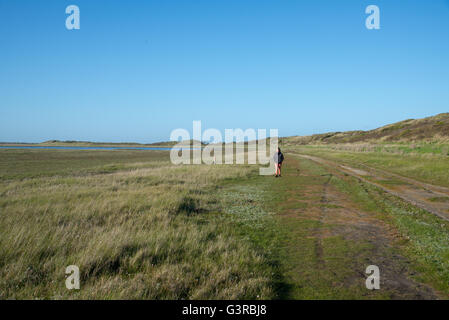 Ragazza balade in muy riserva naturale di Texel in Olanda Foto Stock