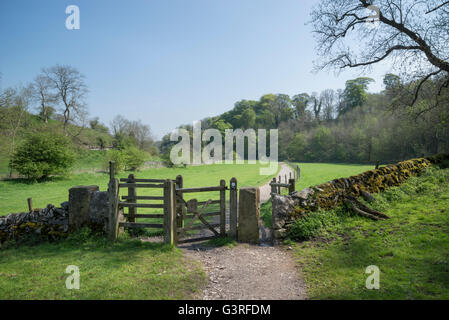 Cancello vicino Alport nella bellissima Bradford dale vicino Youlgreave nel Peak District. Foto Stock