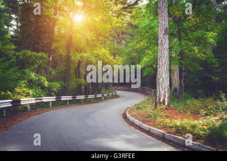 Bellissimo paesaggio con strada asfaltata,verde foresta e cartello stradale a sunrise vibrante nella mattina d'estate. Montagne di Crimea. Viaggiare Foto Stock