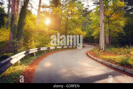 Bellissimo paesaggio con strada asfaltata, foresta verde e giallo del sole al tramonto colorato in estate. Montagne di Crimea.Travel backg Foto Stock