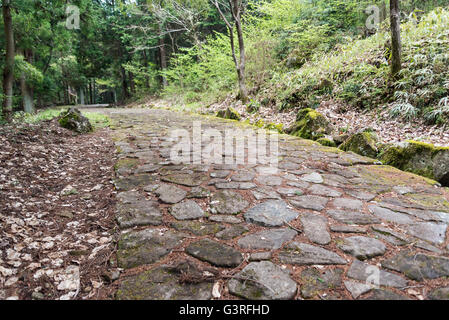 Ochiai pavimentazione in pietra, Kiso Valley, Giappone Foto Stock