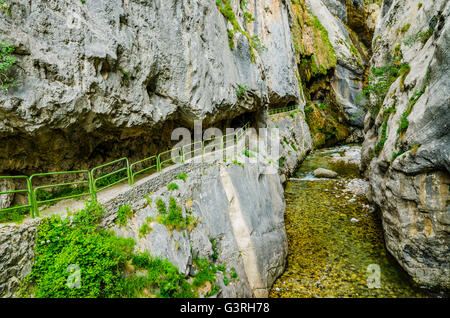 Le cure Trail, Ruta del Cares, è uno dei più popolari di percorsi di treking entro il Picos de Europa Foto Stock