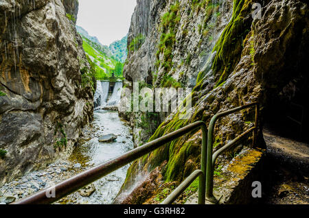 Le cure Trail, Ruta del Cares, è uno dei più popolari di percorsi di treking entro il Picos de Europa Foto Stock