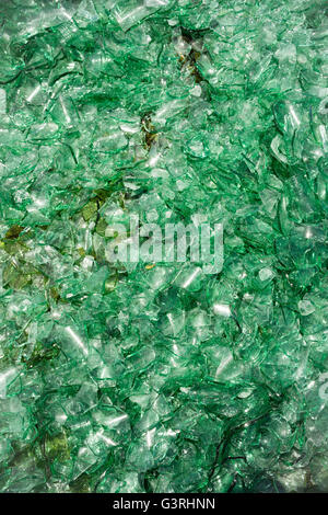Schiacciato il vetro rotto bottiglia riciclare Sharp cocci verde Foto Stock