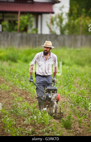 Giovane agricoltore ripulendo dalle erbacce in un campo di mais con un timone motorizzato Foto Stock