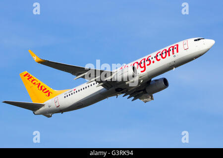 Pegasus Airlines Boeing 737-800 il decollo dall'aeroporto Schiphol di Amsterdam nei Paesi Bassi Foto Stock