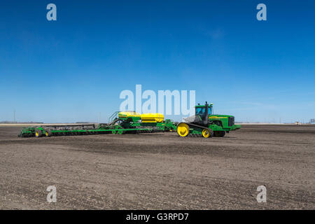 La semina di granella operazioni nei pressi di prugna Coulee, Manitoba, Canada. Foto Stock