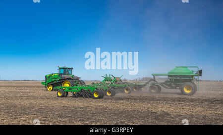 La semina di granella operazioni nei pressi di prugna Coulee, Manitoba, Canada. Foto Stock