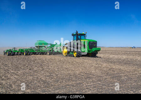 La semina di granella operazioni nei pressi di prugna Coulee, Manitoba, Canada. Foto Stock