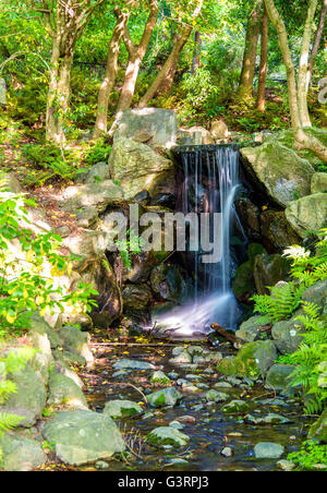 La cascata nel Parco di Maruyama - Kyoto Foto Stock