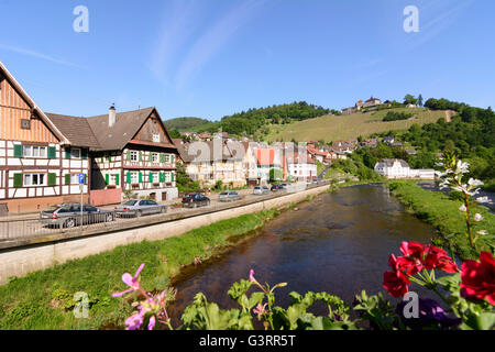 Murg river, Eberstein castello, vigneti, Germania, Baden-Württemberg, Schwarzwald, Foresta Nera, Gernsbach Foto Stock