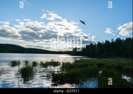 Tramonto sul lago in Kuopio, Finlandia Foto Stock