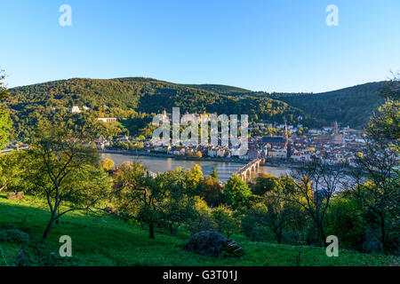 Vista da Schlangenweg la città vecchia con il castello, Heiliggeistkirche e il Vecchio Ponte sul fiume Neckar e Königstuhl mountain, Tedesco Foto Stock