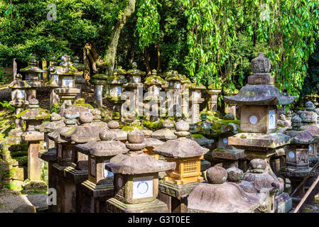 Lanterne di pietra a Tamukeyama Hachimangu Sacrario di Nara Foto Stock