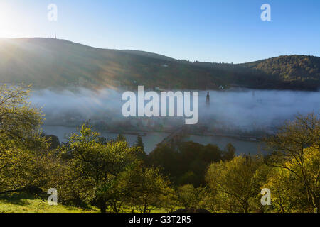 Vista da filosofi modo nella nebbia mattutina sulla città vecchia con il castello, Heiliggeistkirche e il Vecchio Ponte sul fiume Neckar e Köni Foto Stock