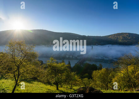 Vista da filosofi modo nella nebbia mattutina sulla città vecchia con il castello, Heiliggeistkirche e il Vecchio Ponte sul fiume Neckar e Köni Foto Stock