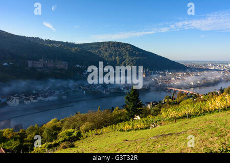 Vista da filosofi modo con un vigneto nella nebbia mattutina sulla città vecchia con il castello, Heiliggeistkirche e vecchio ponte su Foto Stock