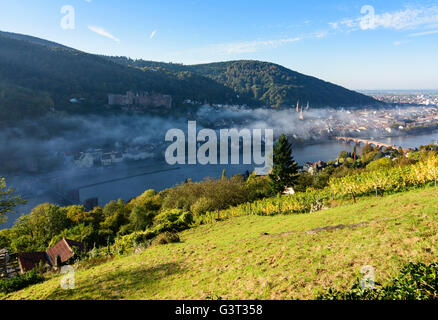 Vista da filosofi modo con un vigneto nella nebbia mattutina sulla città vecchia con il castello, Heiliggeistkirche e vecchio ponte su Foto Stock