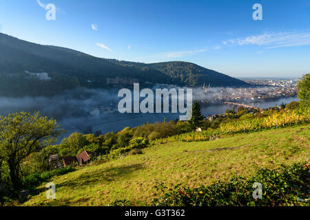 Vista da filosofi modo con un vigneto nella nebbia mattutina sulla città vecchia con il castello, Heiliggeistkirche e vecchio ponte su Foto Stock