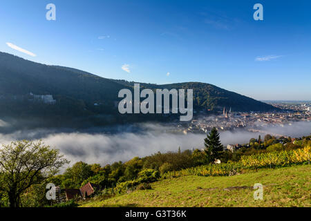 Vista da filosofi modo con un vigneto nella nebbia mattutina sulla città vecchia con il castello, Heiliggeistkirche e vecchio ponte su Foto Stock
