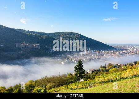 Vista da filosofi modo con un vigneto nella nebbia mattutina sulla città vecchia con il castello, Heiliggeistkirche e vecchio ponte su Foto Stock