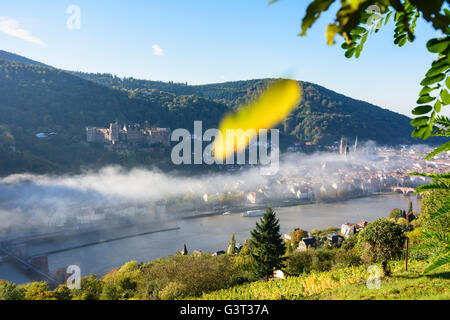 Vista da filosofi modo con un vigneto nella nebbia mattutina sulla città vecchia con il castello, Heiliggeistkirche e vecchio ponte su Foto Stock