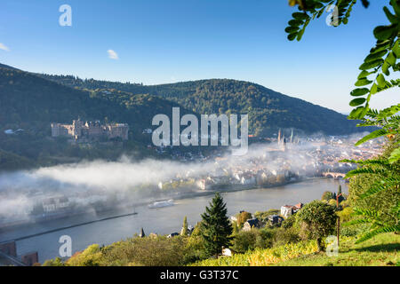 Vista da filosofi modo con un vigneto nella nebbia mattutina sulla città vecchia con il castello, Heiliggeistkirche e vecchio ponte su Foto Stock