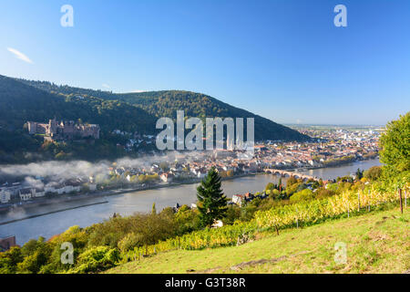Vista da filosofi modo con un vigneto nella nebbia mattutina sulla città vecchia con il castello, Heiliggeistkirche e vecchio ponte su Foto Stock