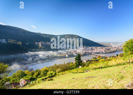 Vista da filosofi modo con un vigneto nella nebbia mattutina sulla città vecchia con il castello, Heiliggeistkirche e vecchio ponte su Foto Stock