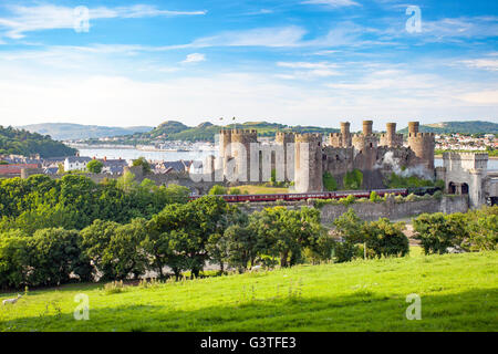 Il Flying Scotsman treno a vapore che passa la fortezza medievale di Conwy Castle su una sera d'estate con il treno di carrelli di trascinamento come passa il Castello, Conwy, Wales, Regno Unito Foto Stock