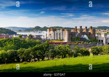 Conwy, Galles del Nord, Regno Unito. Il 15 giugno, 2016. uk meteo - Flying Scotsman locomotiva a vapore treno passa nella parte anteriore della fortificazione medievale di Conwy Castle in prima serata sole. La locomotiva fu costruita a Doncaster il 24 febbraio 1923 e progettato da Sir Nigel gresley come parte dell'a1 classe Foto Stock