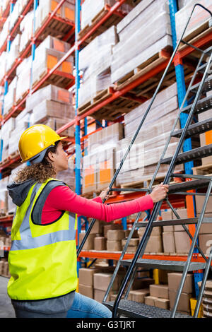 Lavoratore a piedi fino sulla scaletta Foto Stock