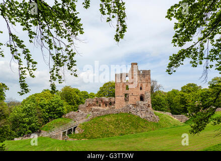 Le rovine del castello di Norham, vicino a Berwick On Tweed, Northumberland, England, Regno Unito Foto Stock