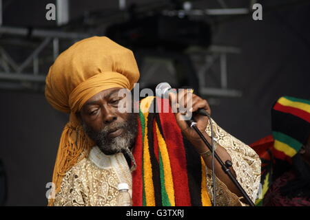 Simbolo nero - live reggae Foto Stock