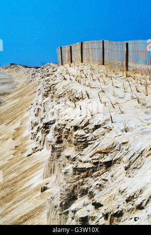 Barriera di legno recinzione; sabbie della spiaggia di Assateague, Chincoteague National Wildlife Refuge, Assateague Island, Virginia, Stati Uniti d'America Foto Stock