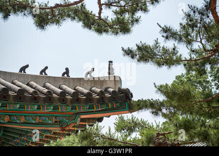 Corea tradizionale decorazione del tetto. blue sky e strutture colorate Foto Stock