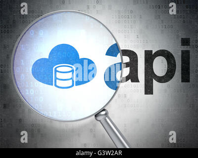 Il concetto di Software: Database con il Cloud e Api con vetro ottico Foto Stock